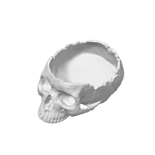 Skull Bowl – plate 1