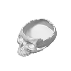 Skull Bowl – plate 2