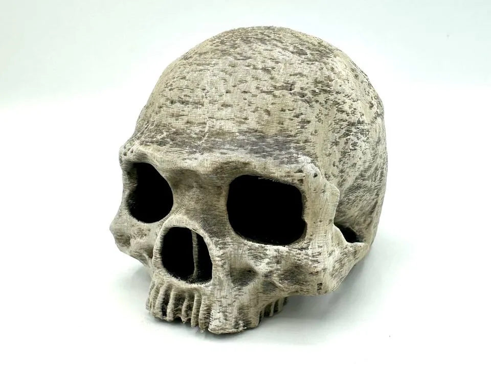 Skull Hideout — original designer photograph; supplied unpainted