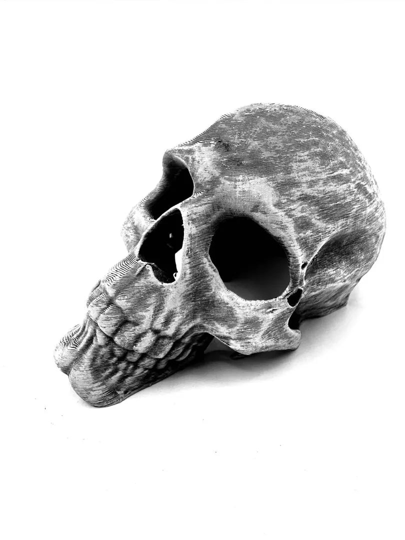 Skull Hideout — original designer photograph; supplied unpainted