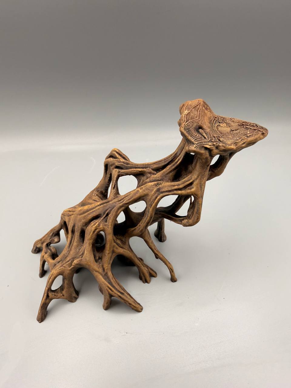 Slanted Mangrove Root – gallery