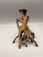 Slanted Mangrove Root – gallery