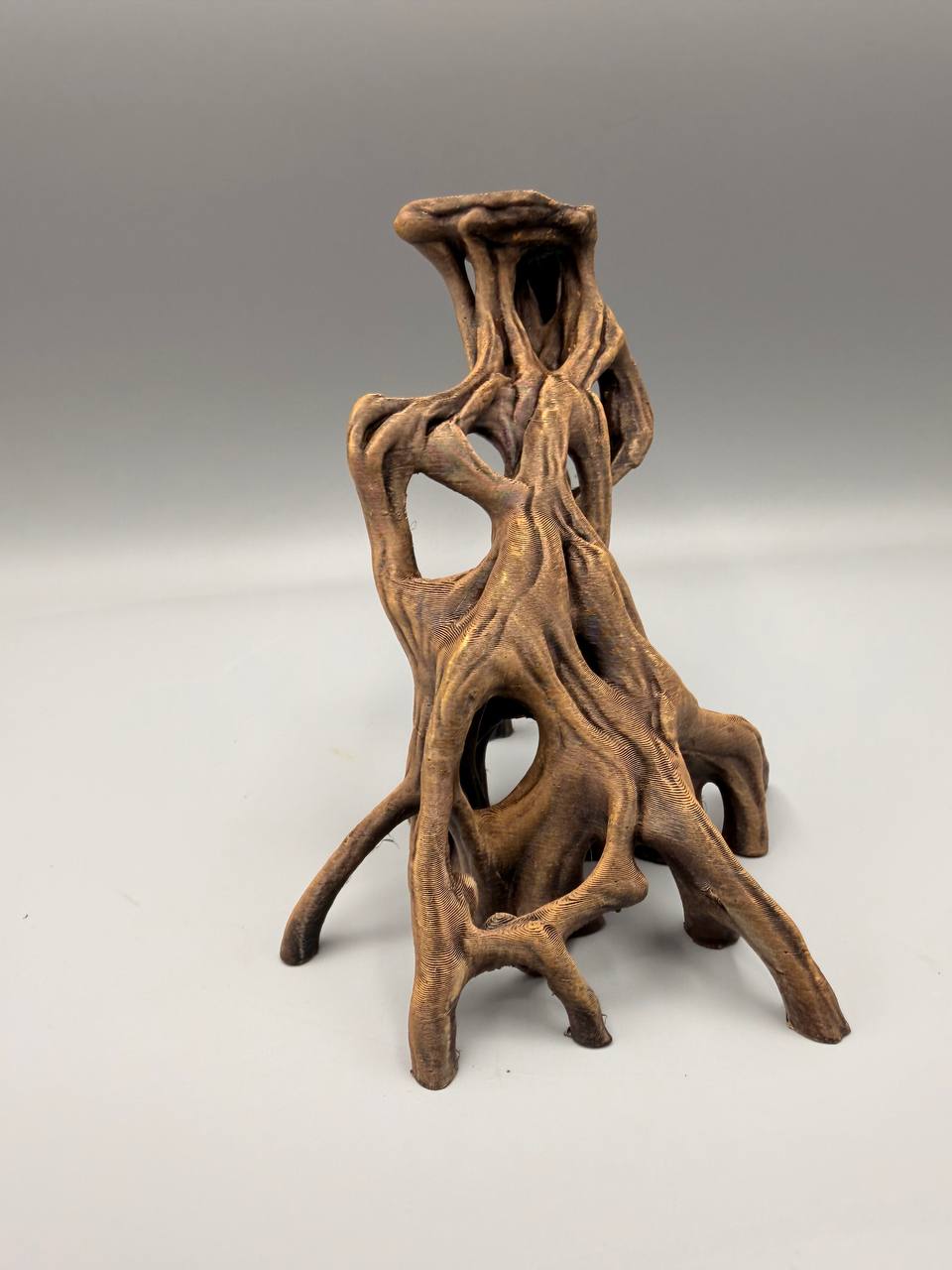 Slanted Mangrove Root – gallery