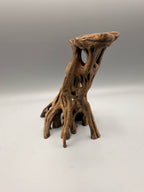 Slanted Mangrove Root – gallery