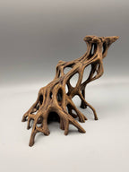 Slanted Mangrove Root – gallery
