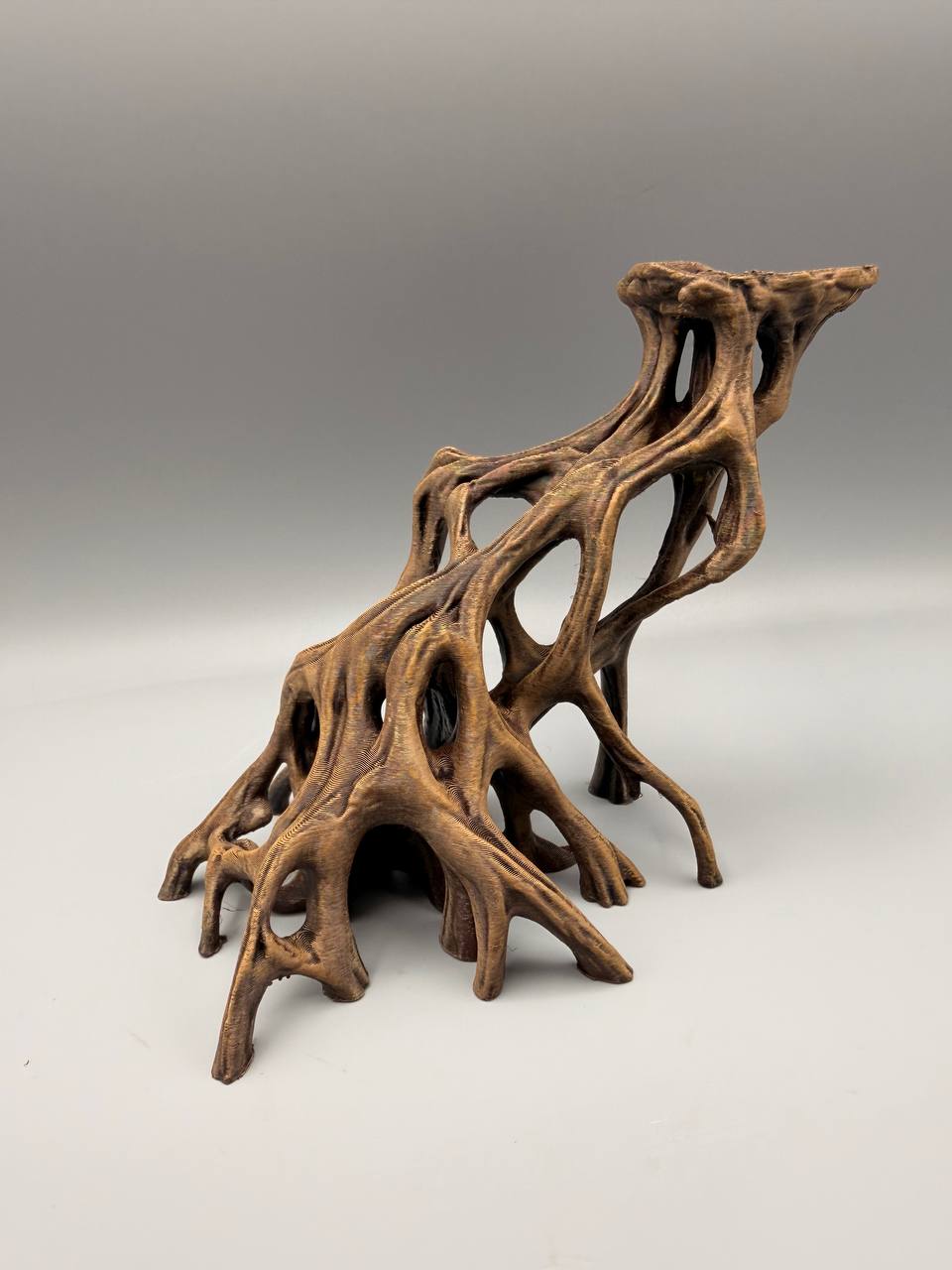 Slanted Mangrove Root – gallery