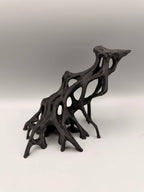 Slanted Mangrove Root – gallery