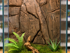 Stone Back Panel 4 flat rock face — licensed source photo 1