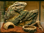 Stone Back Panel 4 — licensed source photo 1