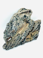 Stone Back Panel 4 — licensed source photo 2