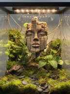 Stone Face – portrait