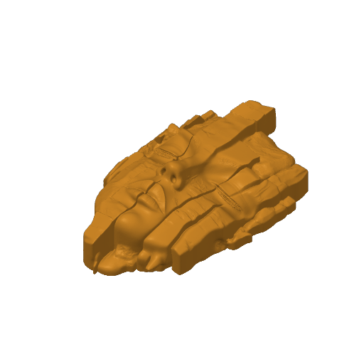 Stone Face – plate 1
