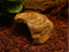 Stone Shelter — licensed designer photo; supplied unpainted in your chosen PETG colour