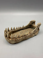 T-Rex Bowl — licensed designer photo of the fossil-jaw dish; supplied unpainted