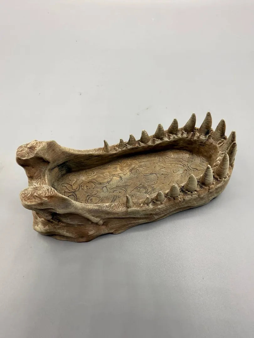 T-Rex Bowl — licensed designer photo of the fossil-jaw dish; supplied unpainted