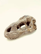 T-Rex Hideout — licensed designer product photo; supplied unpainted in your chosen PETG colour