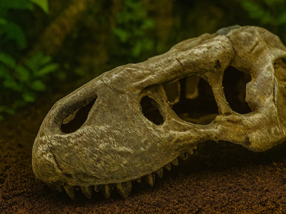 T-Rex Hideout — licensed designer product photo; supplied unpainted in your chosen PETG colour