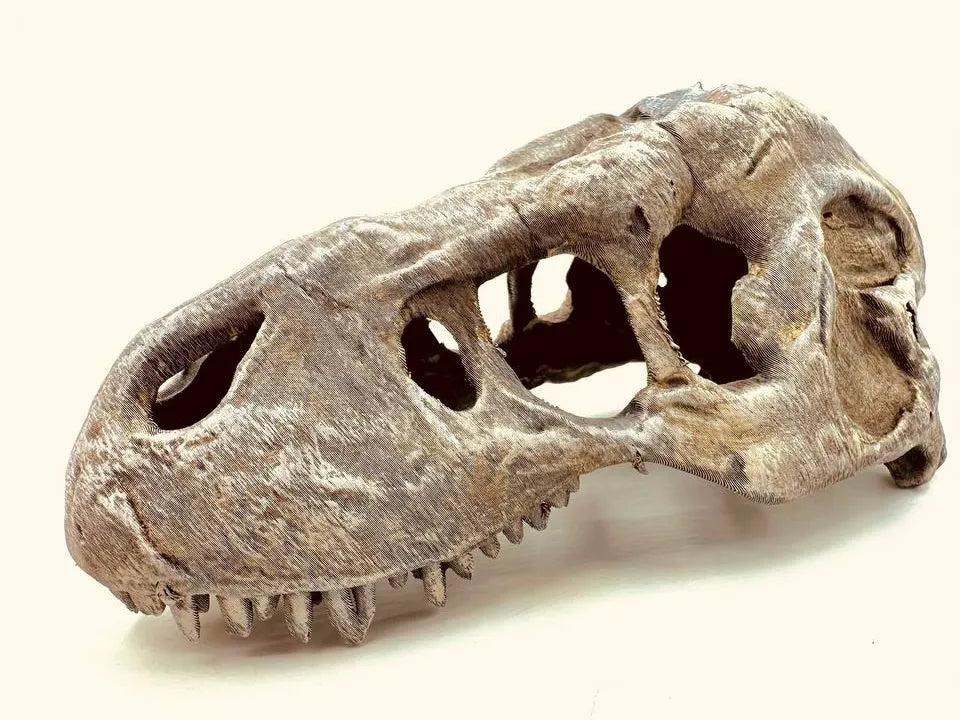T-Rex Hideout — licensed designer product photo; supplied unpainted in your chosen PETG colour
