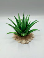 Terra Terrain Aloe Vera — designer reference view