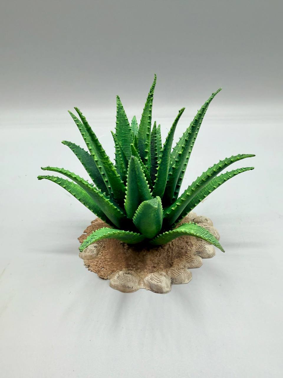 Terra Terrain Aloe Vera — designer reference view