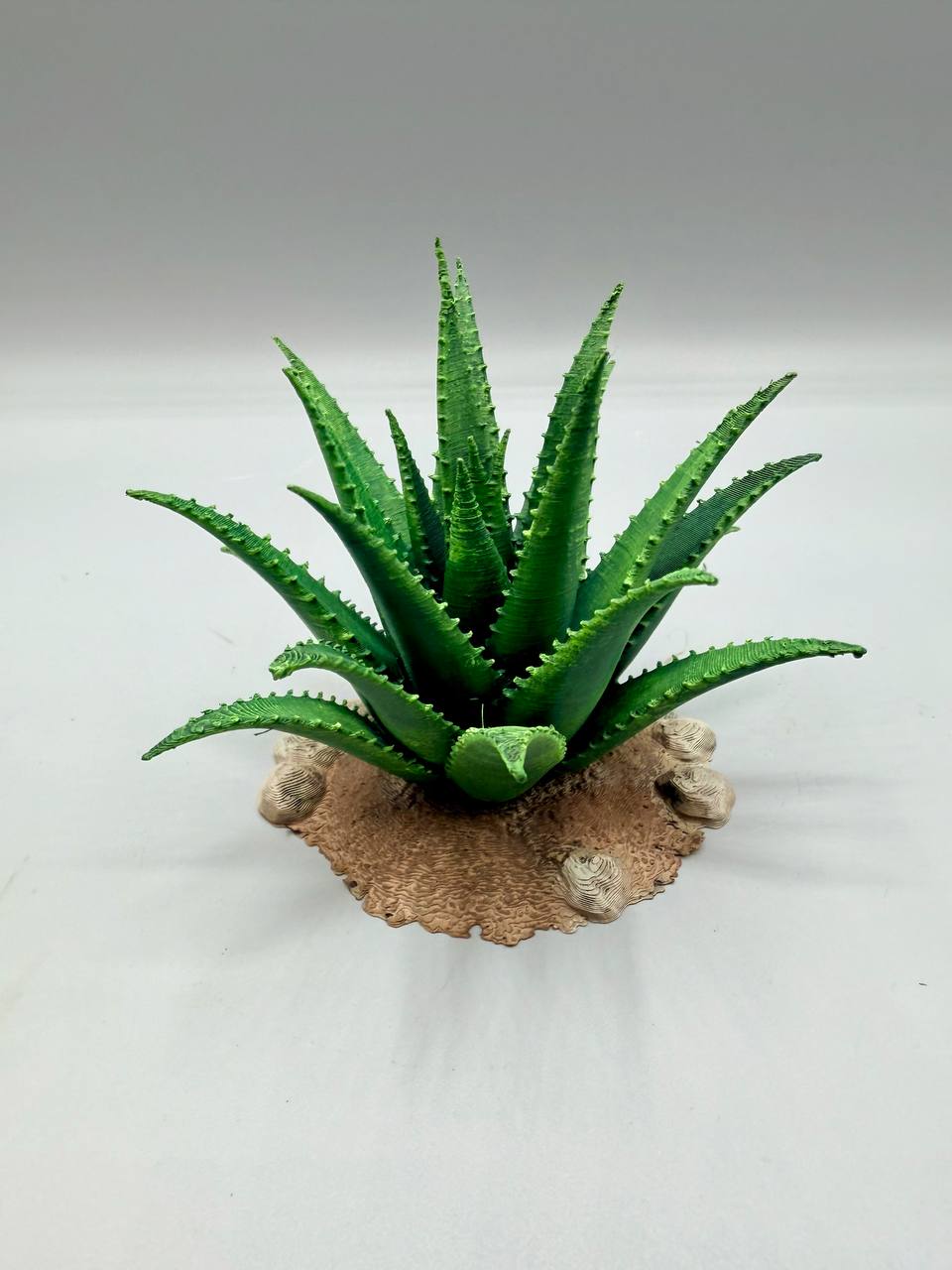 Terra Terrain Aloe Vera — designer reference view