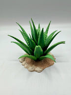Terra Terrain Aloe Vera — designer reference view