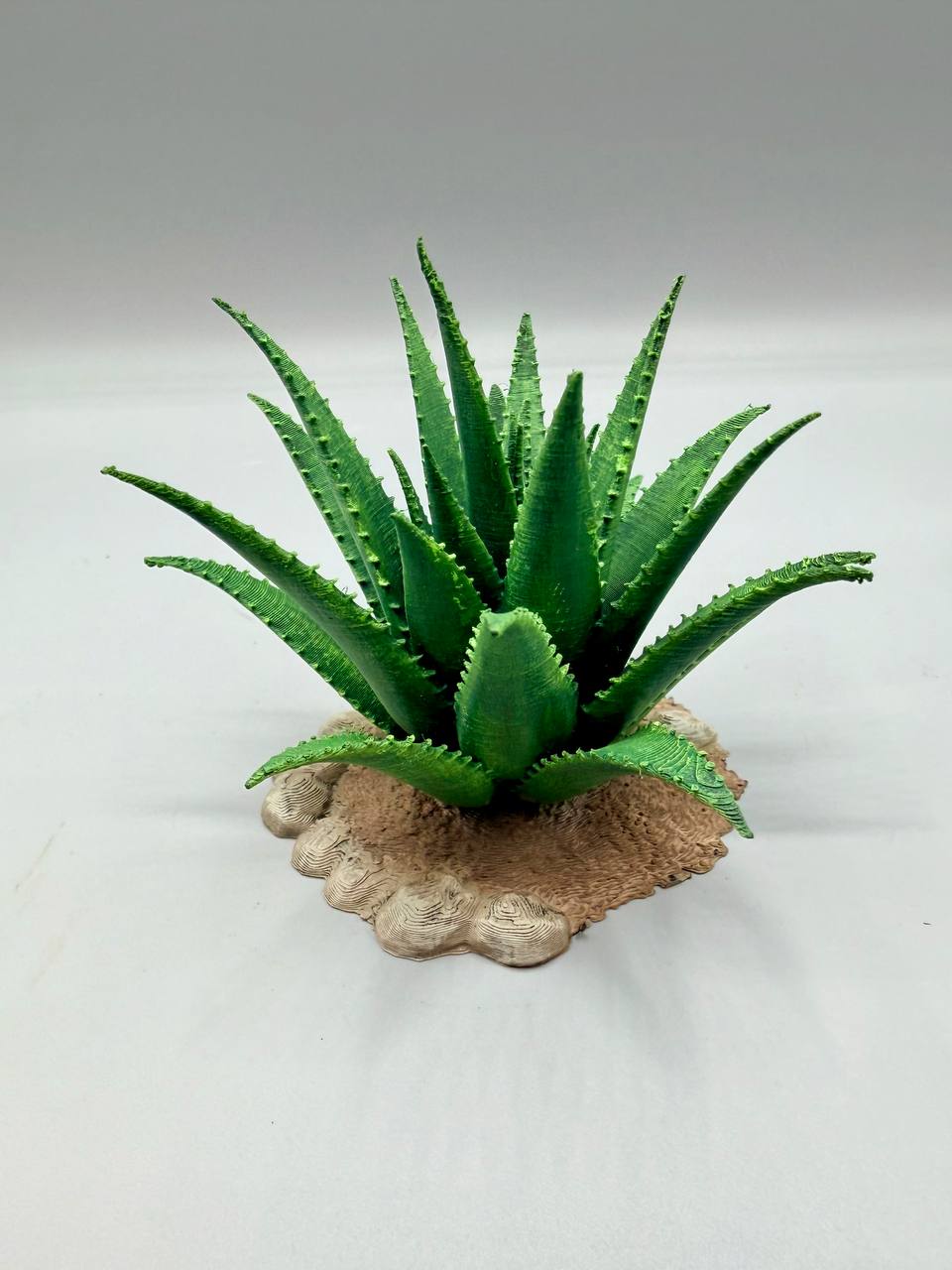Terra Terrain Aloe Vera — designer reference view