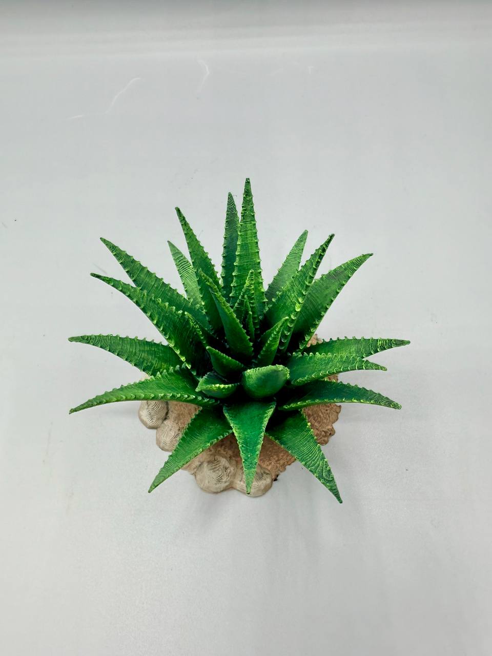 Terra Terrain Aloe Vera — designer reference view