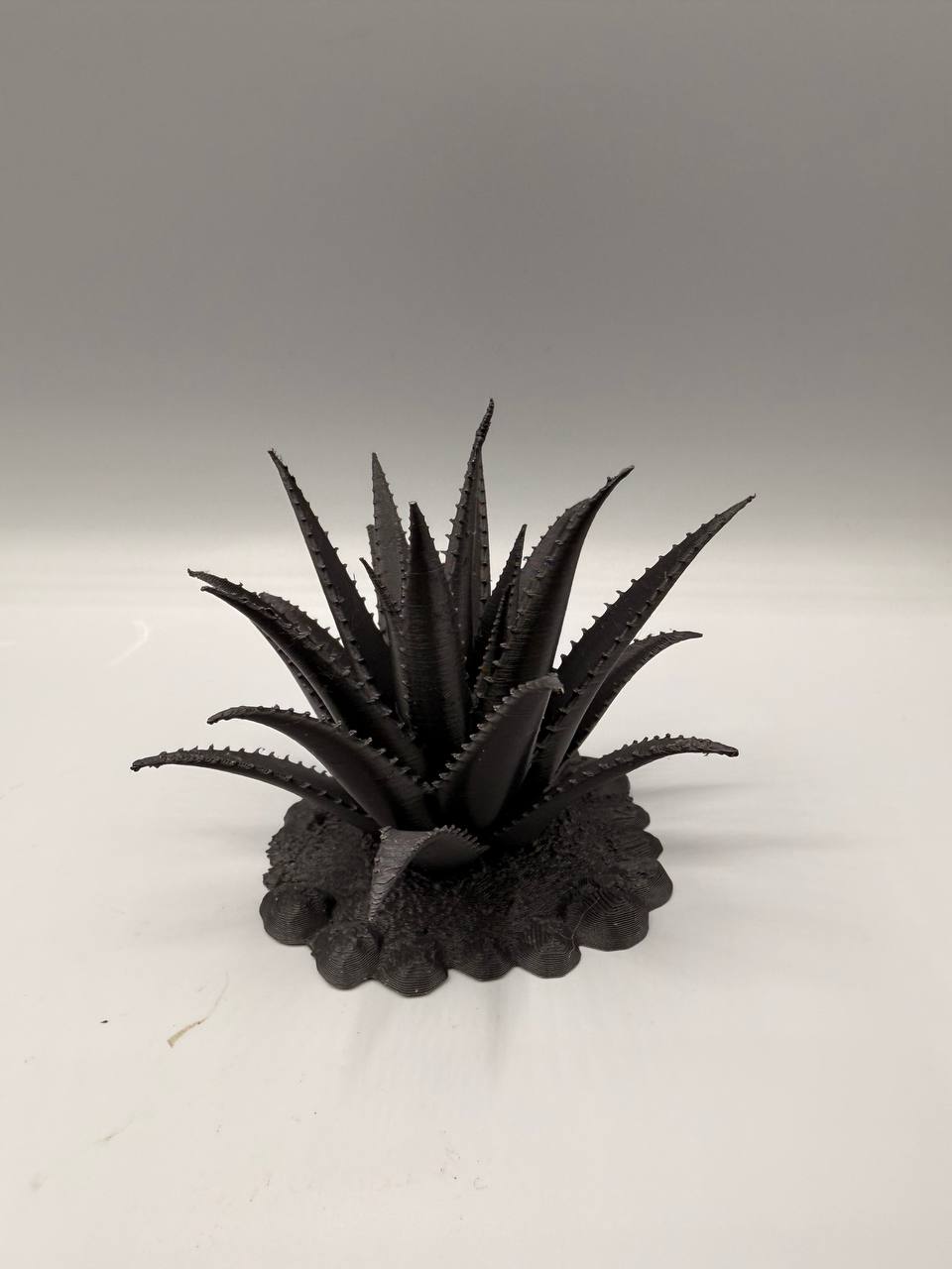 Terra Terrain Aloe Vera — designer reference view