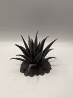 Terra Terrain Aloe Vera — designer reference view