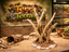 Terra Terrain Deadwood — designer reference view