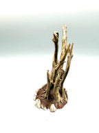 Terra Terrain Deadwood — designer reference view