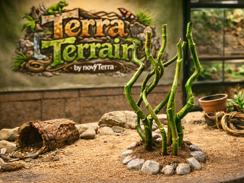 Terra Terrain Ranken — designer reference view