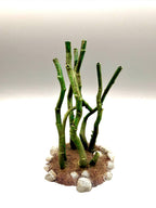 Terra Terrain Ranken — designer reference view