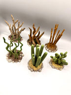 Terra Terrain Ranken — designer reference view