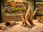 Terra Terrain Roots — designer reference view