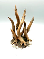 Terra Terrain Roots — designer reference view