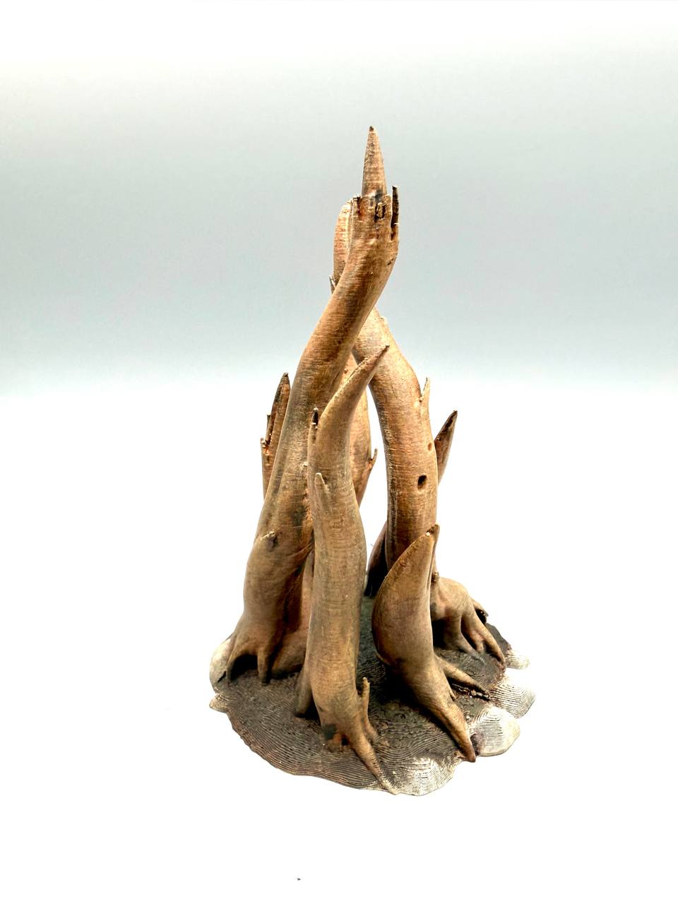 Terra Terrain Roots — designer reference view