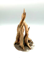 Terra Terrain Roots — designer reference view