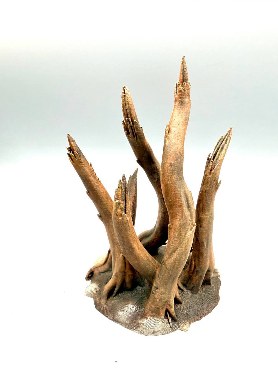 Terra Terrain Roots — designer reference view