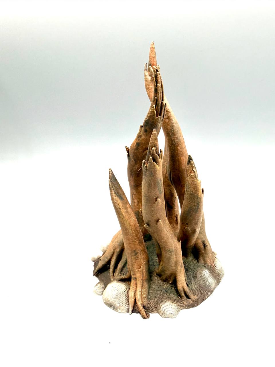 Terra Terrain Roots — designer reference view