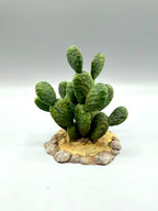 Terra Terrain Sabra Cactus — designer reference view