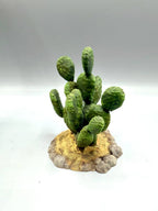 Terra Terrain Sabra Cactus — designer reference view