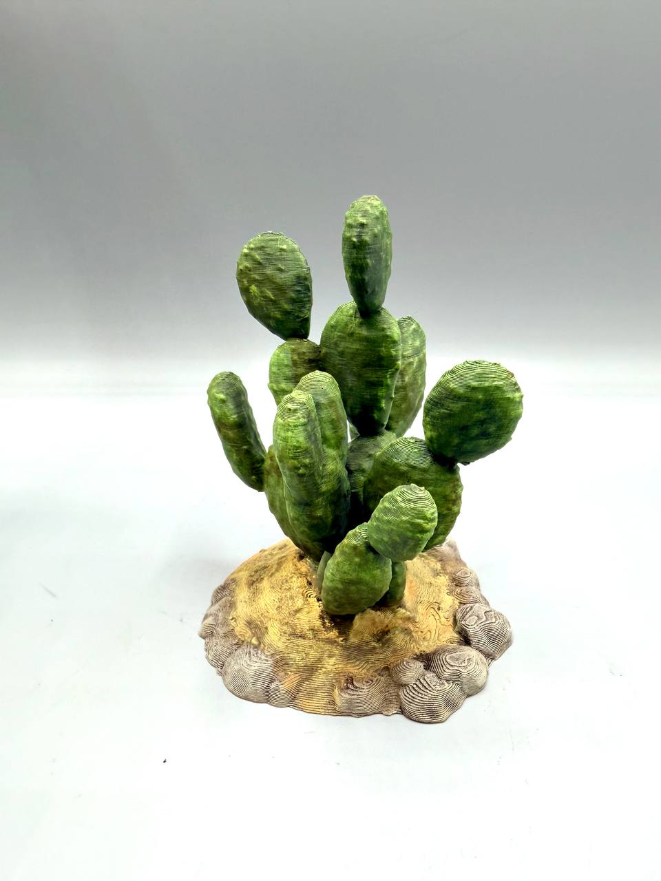 Terra Terrain Sabra Cactus — designer reference view