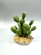 Terra Terrain Sabra Cactus — designer reference view