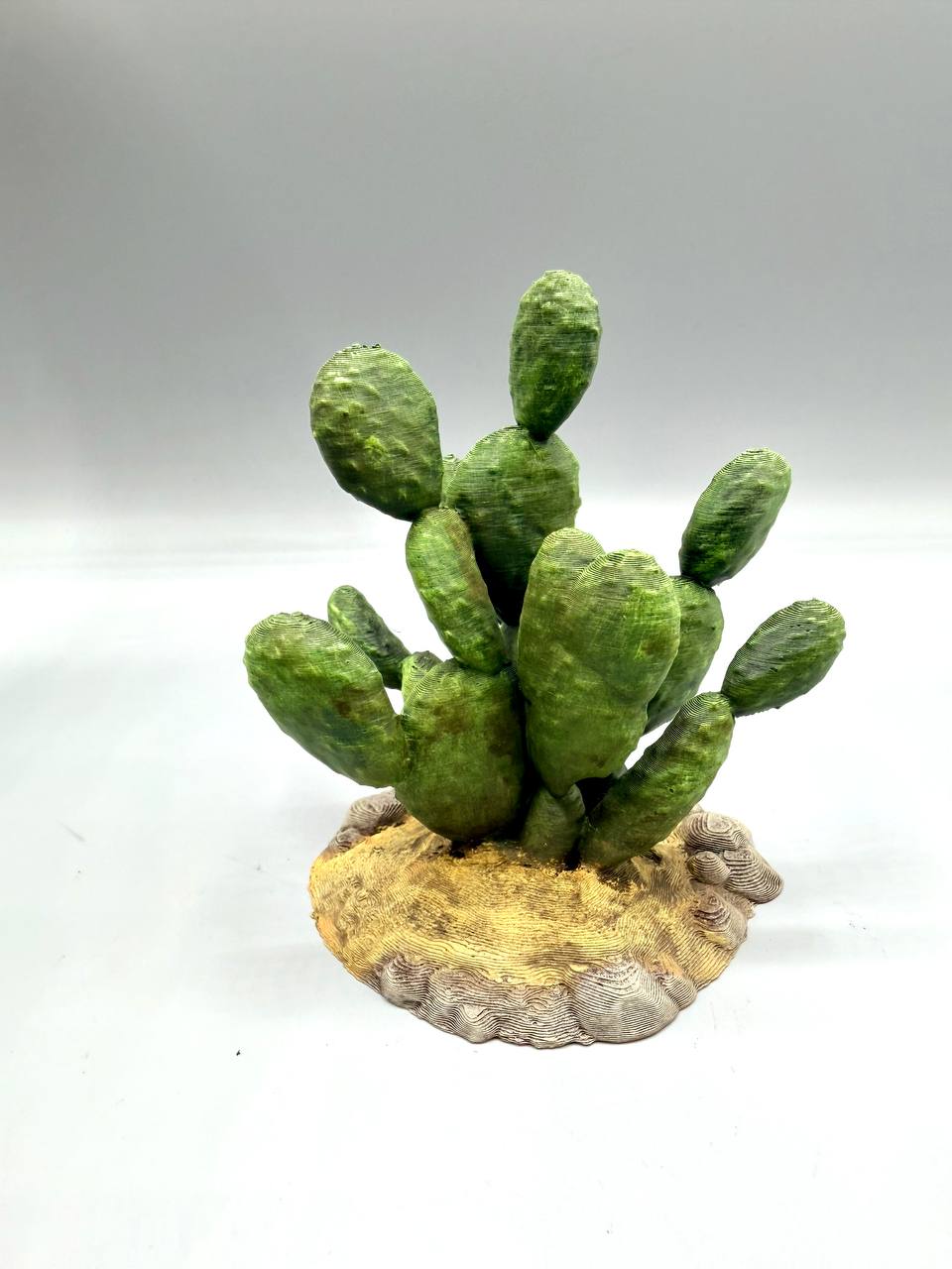 Terra Terrain Sabra Cactus — designer reference view
