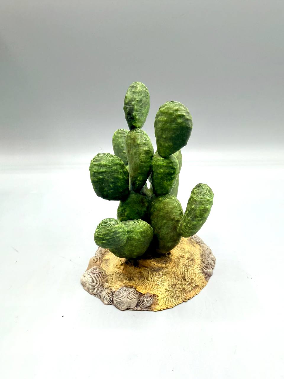 Terra Terrain Sabra Cactus — designer reference view