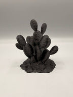 Terra Terrain Sabra Cactus — designer reference view