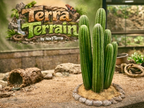 Terra Terrain Saguaro Cactus — designer reference view