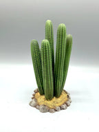 Terra Terrain Saguaro Cactus — designer reference view